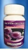 Stem Cell Plus
