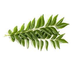 Curry Leaves