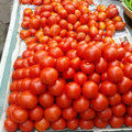 Tomato Seeds