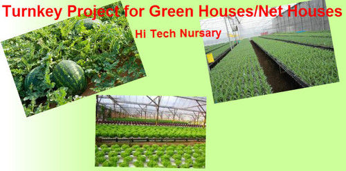 Green Houses And Net House 