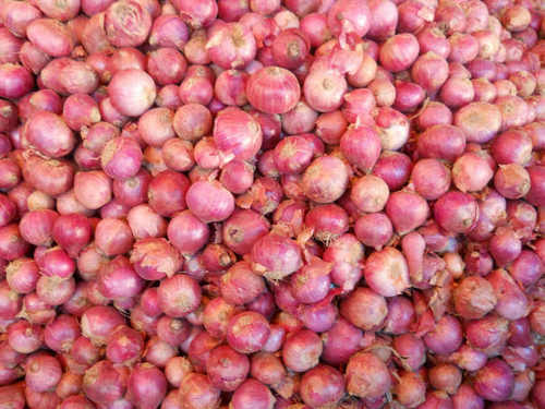 Red Onions