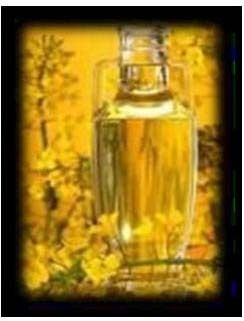 Refined Rapeseed Oil