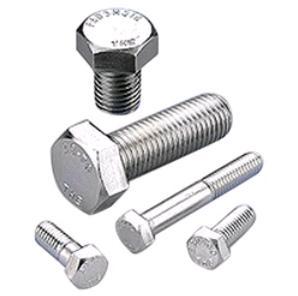 Vivanta Stainless Steel Bolts