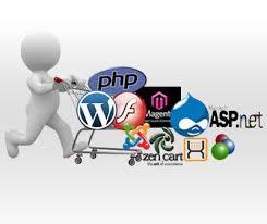 Customized Development Service - Tailored Solutions for Diverse Businesses | Reliable Flexible Hassle-Free Execution Using Modern Technology
