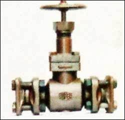 Globe Valve