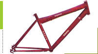 Bicycles Frame MTB Type