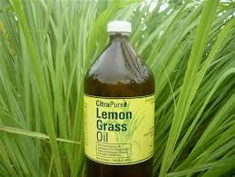 Lemon Grass Oil