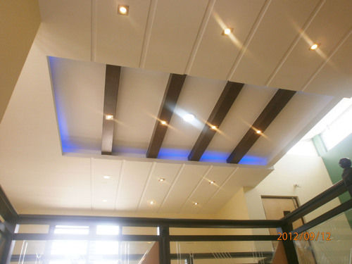 Ceilings Interior Designing Service