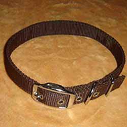 Dog Collar