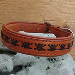 Trendy Dog Leather Collar