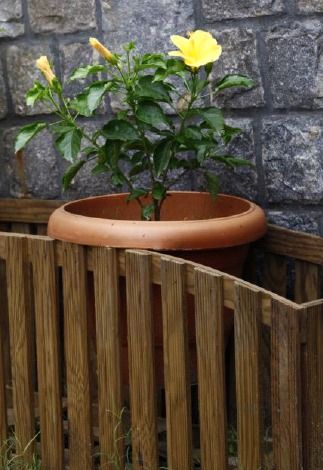 Wooden Planters