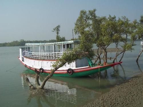 Sundarban Trip Packages Grade: Laboratory Grade