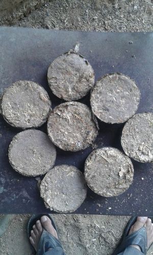 Biomass Solid Fuel Briquettes