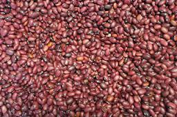 Red Kidney Beans