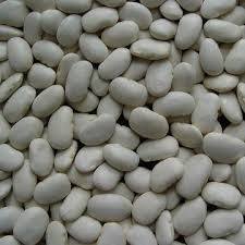 White Kidney Beans