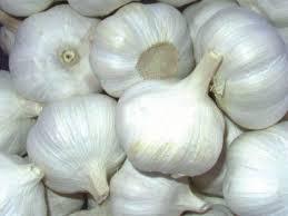 Fresh White Garlic By Hipex Fresh Vegetable Company LTD.
