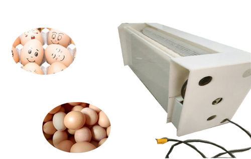 Brush Type Eggs Washing Machine