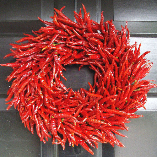 Red Dry Chilly