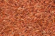 Red Cargo Rice