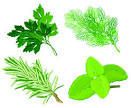 Herbal Leaves