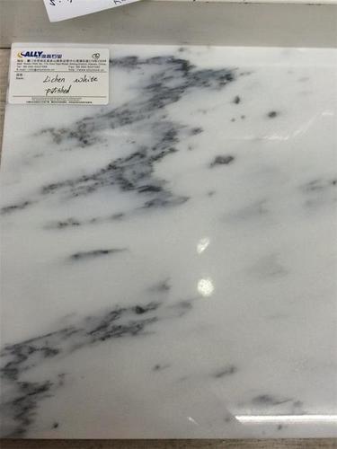 Lichen White Marble