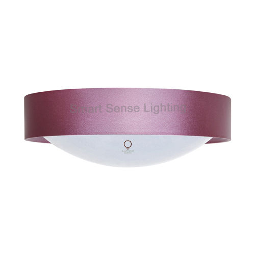 Smart Led Ceiling Light