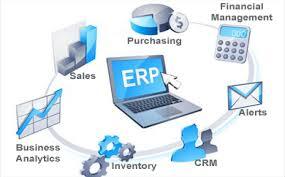 Erp Software Designing Service