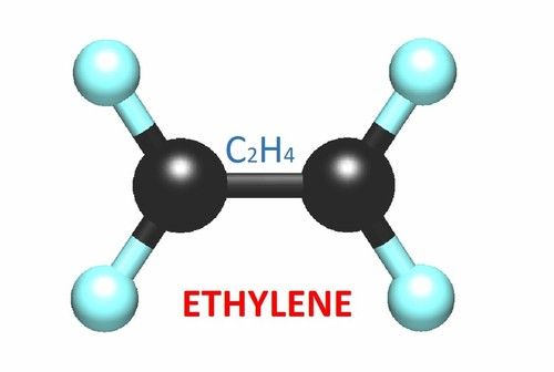 Mono Ethylene Glycol In Singapore Prices Manufacturers Suppliers