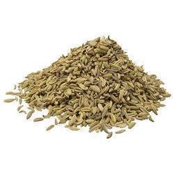 Fennel Seeds