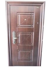 Interior Security Door