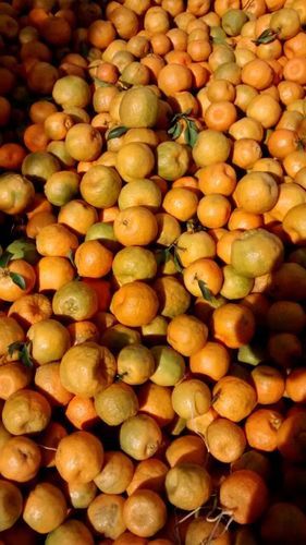 Nagpuri Orange