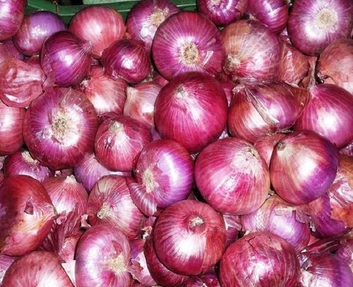 Red Onion