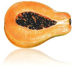 Papaya Pulp