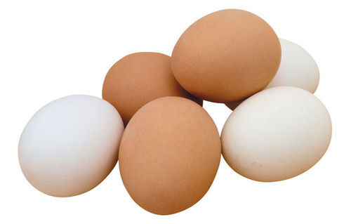 Farm Fresh Chicken Table Eggs