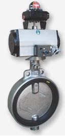 HANS Butterfly Valves