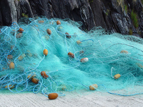 Nylon Fishing Net at Rs 19/meter, Nylon Fishing Nets in Coimbatore