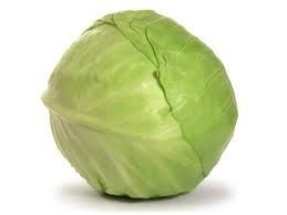 Cabbage 