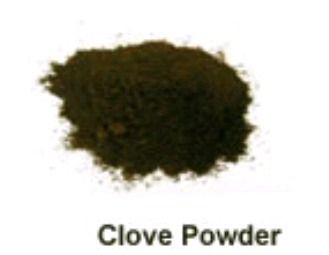 Clove Powder