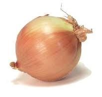 Onion Normal