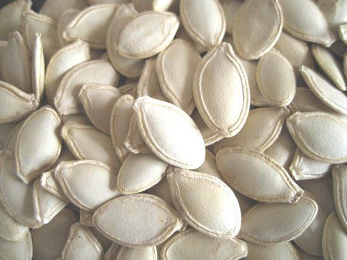 Pumpkin Seed