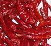 Whole Red Chilly