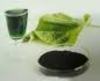 Chlorophyll Green (Oil Soluble)