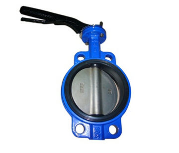 Non-backed Butterfly Valve