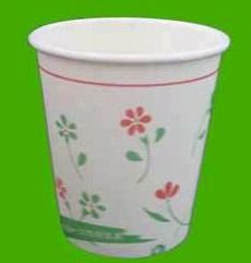 Paper Cups Printing Services