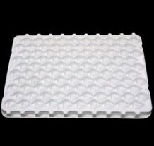 Large Plastic Tray