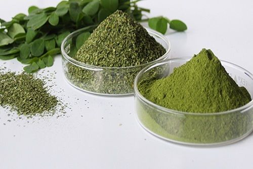 Moringa Powder