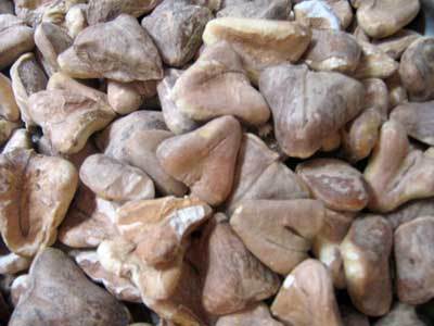 Dried Singhara - Water Chestnut