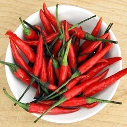 Dry Red Chillies