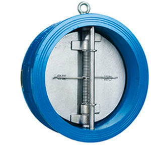 Dual Plate Check Valve