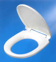 Toilet Seat Cover